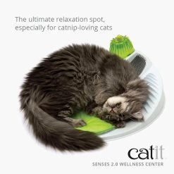 Bon marché ⭐ Catit - Senses Station de Massage pour Chat 👍 -Promos Chat Boutique 022517431535 3