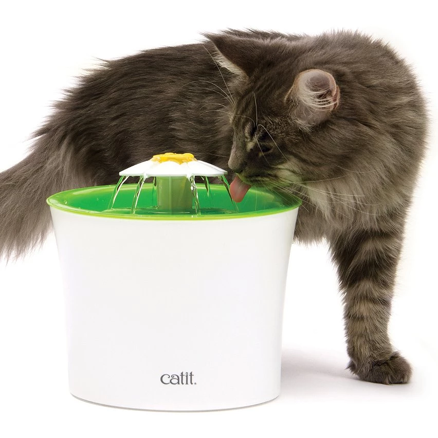 Acheter 🔔 Catit Fontaine à fleurs Vert 3L 🌟 2 Acheter 🔔 Catit Fontaine à fleurs Vert 3L 🌟 – Image 2