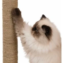 Top 10 🥰 Catit Arbre à chat Vesper Meuble 🔥 -Promos Chat Boutique 022517520758 6