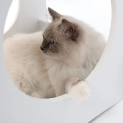 Les meilleures critiques de 👍 Catit - Vesper Cottage Condo Blanc 😉 -Promos Chat Boutique 022517521137 4