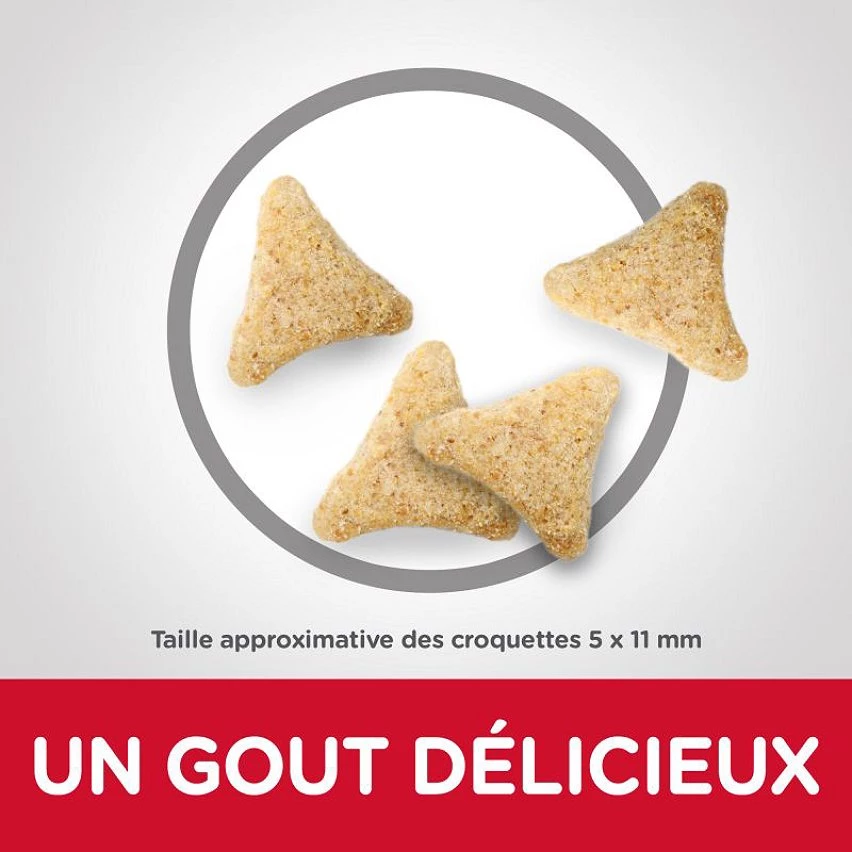Sortie 🔥 Hill's Science Plan - Croquette pour Chat Adulte Hairball Indoor Poulet 🔔 2 Sortie 🔥 Hill's Science Plan - Croquette pour Chat Adulte Hairball Indoor Poulet 🔔 – Image 2
