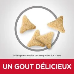 Promos Chat Boutique -Promos Chat Boutique 052742024011 2 2