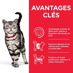 Nouveau 🔔 Hill's Science Plan - Croquette pour Chat Adulte Hairball Indoor Poulet 🎉 -Promos Chat Boutique 052742024011 3 2
