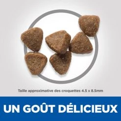 Budget 🌟 Hill's Prescription Diet - Croquette pour chaton au Thon 🔔 -Promos Chat Boutique 0527420243630 2