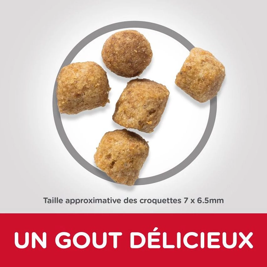Remise 💯 Hill's Science Plan - Croquette pour chat Mature Sterilised - Poulet 👍 3 Remise 💯 Hill's Science Plan - Croquette pour chat Mature Sterilised - Poulet 👍 – Image 3