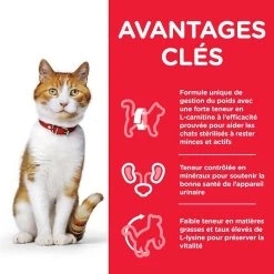 Offres 🧨 Hill's Science Plan - Croquette pour Chat Sterilised -Young Adult - Poulet 👏 -Promos Chat Boutique 0527420302720 3 3