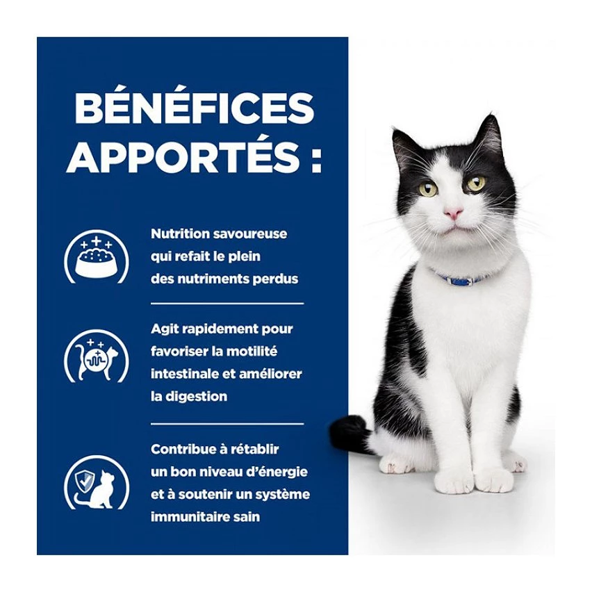 Tout neuf đ§š HILL'S Prescription Diet - PĂątĂ©e I/D Digestive MijotĂ©s poulet et lĂ©gumes Chat 24x82g đ 5 Tout neuf đ§š HILL'S Prescription Diet - PĂątĂ©e I/D Digestive MijotĂ©s poulet et lĂ©gumes Chat 24x82g đ â Image 5