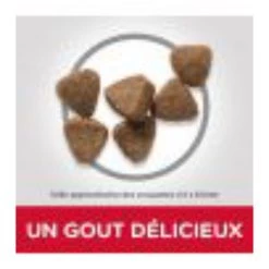 Budget 👍 Hill's Science Plan - Croquette pour Chat Adulte au Poulet 👍 -Promos Chat Boutique 052742629100 3