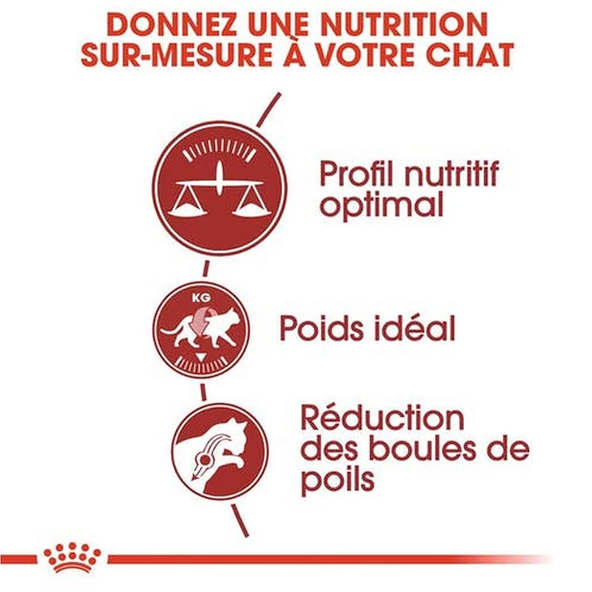Nouveau 😀 Croquettes Chat Royal Canin Fit 32 : 4 kg 🛒 2 Nouveau 😀 Croquettes Chat Royal Canin Fit 32 : 4 kg 🛒 – Image 2