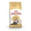 Meilleure vente 🧨 Croquettes Chat Royal Canin Persian 30 : 4 kg 👍