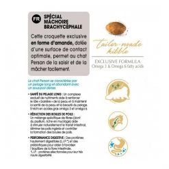 Meilleure affaire 😉 Croquettes Chat Royal Canin Persian 30 : 2 kg 🧨 -Promos Chat Boutique 3182550702621 3