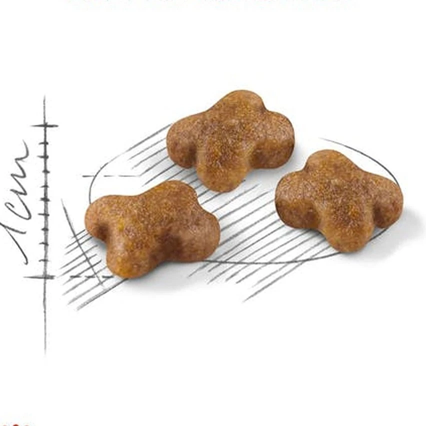 Le moins cher 😀 Royal Canin Kitten Second Age : 10 kg ✨ 2 Le moins cher 😀 Royal Canin Kitten Second Age : 10 kg ✨ – Image 2