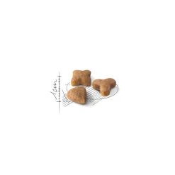 Budget 🔔 Croquettes Chat Royal Canin Sensible 33 : 2 kg 👏 -Promos Chat Boutique 3182550706803 4