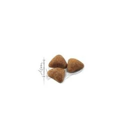 De gros 👏 Croquettes Royal Canin Chat Indoor 27 : 10 kg 👍 -Promos Chat Boutique 3182550706933 3 1