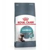 Tout neuf 🔔 ROYAL CANIN Croquette chat Hairball Care 🔥