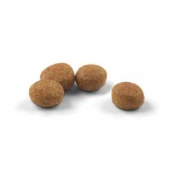 Promos Chat Boutique -Promos Chat Boutique 3182550784566 2 1