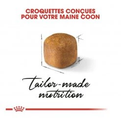 Top 10 💯 Croquette ROYAL CANIN - Maine Coon Kitten /Chaton 💯 -Promos Chat Boutique 3182550863681 3