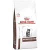 De gros 🛒 Croquette Royal Canin Veterinary diet pour chat gastro intestinal kitten 🥰
