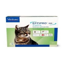 Sortie ✨ Virbac Duowin Pipettes Effipro Duo Insecticide Chat spot On 🎉
