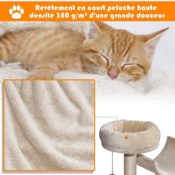De gros 🤩 Pawhut Arbre à chats multi-équipements griffoirs grattoirs plates-formes + tunnel + jouet suspendu dim. 50L x 40l x 105H cm beige 🛒 -Promos Chat Boutique 3662970041765 6