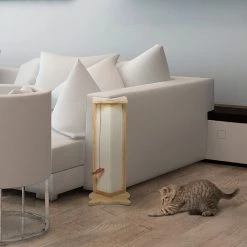 Promos Chat Boutique -Promos Chat Boutique 3662970058039 2