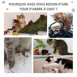 Meilleure vente ✨ Pawhut Arbre à chats multi-équipements griffoirs grattoirs niche plateformes + échelle + hamacs + boule suspendue gris 🧨 -Promos Chat Boutique 3662970070857 7