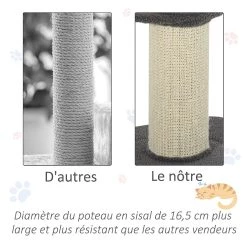 Coupon 👏 Pawhut Arbre à chat avec griffoir centre d'activités 2 plateformes coussin gris ⭐ -Promos Chat Boutique 3662970070864 6