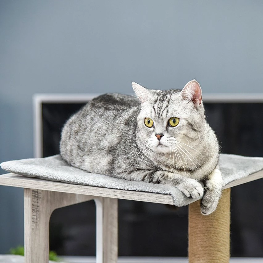 Nouveau 👏 Pawhut Arbre à chats design contemporain griffoirs grattoirs sisal naturel niche plate-formes 6 coussins MDF bois gris 😀 6 Nouveau 👏 Pawhut Arbre à chats design contemporain griffoirs grattoirs sisal naturel niche plate-formes 6 coussins MDF bois gris 😀 – Image 6