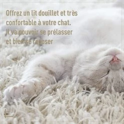 Coupon 😉 PawHut Panier chat lit chat cosy grand confort dim. Ø 56 x 35H cm coussin moelleux inclus PVC imitation rotin beige ⌛ -Promos Chat Boutique 3662970076989 7