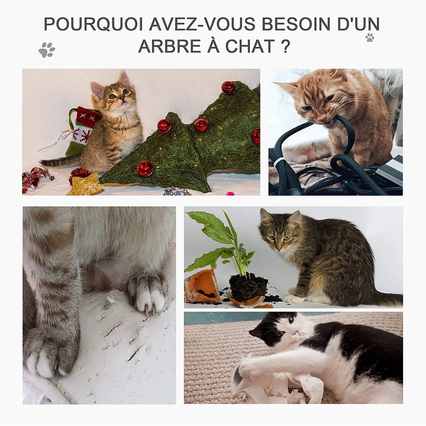 Le moins cher 🧨 Pawhut Arbre à chats style cosy chic griffoir sisal naturel grande niche plateformes jeu boule corde escalade peluche courte massette beige 🧨 7 Le moins cher 🧨 Pawhut Arbre à chats style cosy chic griffoir sisal naturel grande niche plateformes jeu boule corde escalade peluche courte massette beige 🧨 – Image 7