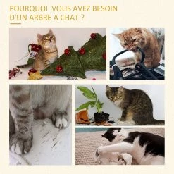 Meilleure vente 🎉 Pawhut Arbre à chats style cosy chic griffoirs sisal naturel grande niche plateforme échelle jeu boules tourniquet peluche courte cordes d'algues tressées 🌟 -Promos Chat Boutique 3662970095249 4