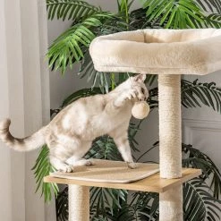 Meilleur prix 👏 Pawhut Arbre à chat multi-équipement griffoirs grattoirs niche hamac panier coussins amovibles H126 cm peluche courte sisal naturel beige 😍 -Promos Chat Boutique 3662970095409 6