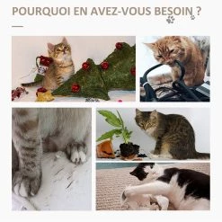Les meilleures critiques de 🔔 PawHut Poteau à griffer pour chat - poteau à chat en sisal avec jeu 2 boules et 2 plumes suspendues rotatives MDF aspect bois 🔥 -Promos Chat Boutique 3662970096055 5