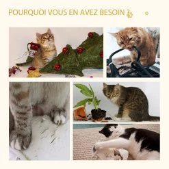 Sortie đ Pawhut Arbre Ă chat 2 griffoirs niche entrĂ©e tĂȘte de chat plateforme d'observation jouet suspendu coussins amovibles peluche grande douceur aspect bois clai đ 10 Sortie đ Pawhut Arbre Ă chat 2 griffoirs niche entrĂ©e tĂȘte de chat plateforme d'observation jouet suspendu coussins amovibles peluche grande douceur aspect bois clai đ -Promos Chat Boutique 3662970096086 6
