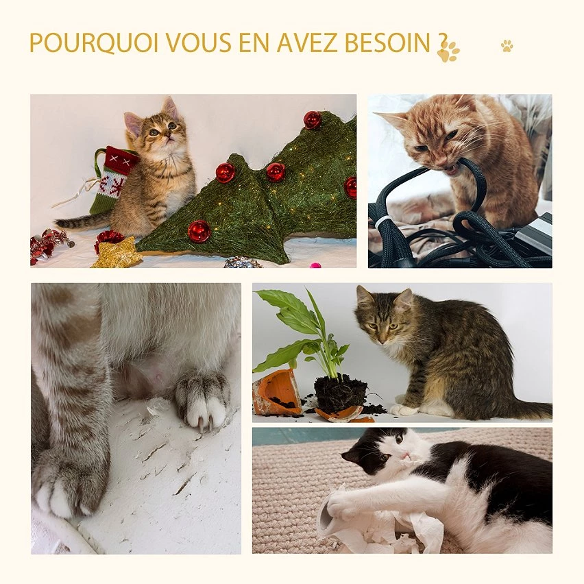 Sortie đ Pawhut Arbre Ă chat 2 griffoirs niche entrĂ©e tĂȘte de chat plateforme d'observation jouet suspendu coussins amovibles peluche grande douceur aspect bois clai đ 5 Sortie đ Pawhut Arbre Ă chat 2 griffoirs niche entrĂ©e tĂȘte de chat plateforme d'observation jouet suspendu coussins amovibles peluche grande douceur aspect bois clai đ â Image 5