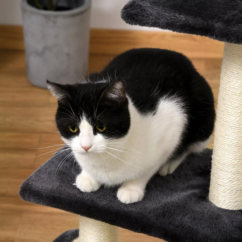 De gros ⌛ Pawhut Arbre à chat griffoir grattoir design jeu boule suspendue 2 plateformes peluche sisal naturel gris ⭐ 7 De gros ⌛ Pawhut Arbre à chat griffoir grattoir design jeu boule suspendue 2 plateformes peluche sisal naturel gris ⭐ – Image 7