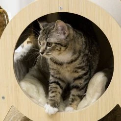 Sortie 🎉 Pawhut Maison pour chat design - niche chat panier chat - coussin amovible, grattoir jute naturelle - panneaux aspect bois clair 🎁 -Promos Chat Boutique 3662970113141 7
