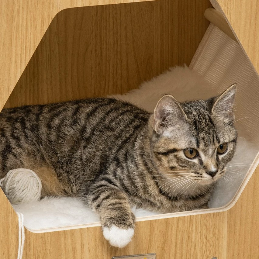 De gros 🎁 Pawhut Maison pour chat design hexagonal - niche chat panier chat - coussin fourrure amovible, grattoir jute naturelle - contreplaqué aspect bois clair 💯 7 De gros 🎁 Pawhut Maison pour chat design hexagonal - niche chat panier chat - coussin fourrure amovible, grattoir jute naturelle - contreplaqué aspect bois clair 💯 – Image 7