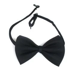 Remise ✨ Totalcadeau Noeud Papillon pour animal de compagnie chat et chien déguisement noir 🎉 -Promos Chat Boutique 3664996338997 3