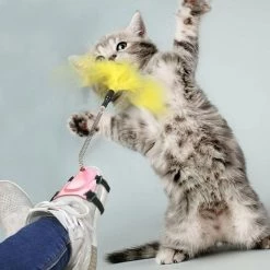 Nouveau 🤩 Totalcadeau Plumes à agiter jouet pour chat à fixer à une chaussure bleu 😍 -Promos Chat Boutique 3664996339093 4