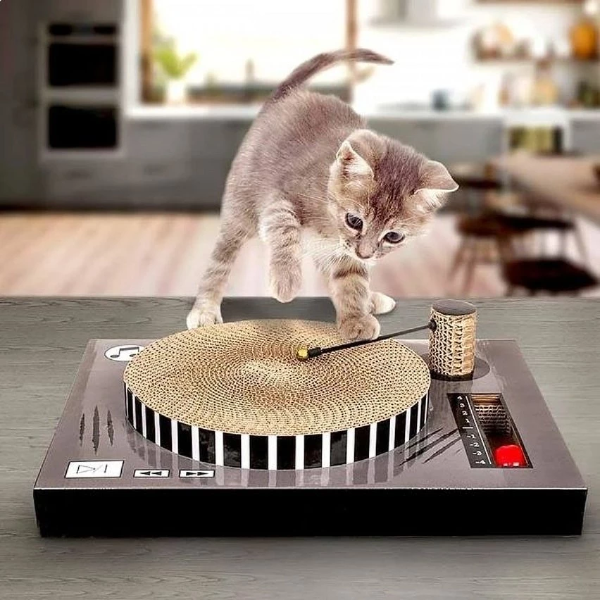 Promo 🎁 Totalcadeau Griffoir Platine de DJ pour chat jeu 👏 3 Promo 🎁 Totalcadeau Griffoir Platine de DJ pour chat jeu 👏 – Image 3