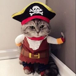 Le moins cher ⌛ Totalcadeau Costume Pirate pour Chat Déguisement avec cape 🔔 -Promos Chat Boutique 3664996378894 3
