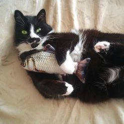 Bon marché 🧨 SHOP-STORY - FLIPPITYFISH : Jouet Poisson Interactif et Dansant Inédit pour Chat 🧨 -Promos Chat Boutique 3683080516066 4