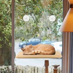 Offres 🌟 SHOP-STORY - CAT BED : Hamac de Fenêtre pour Chat ⭐ -Promos Chat Boutique 3683080518411 6