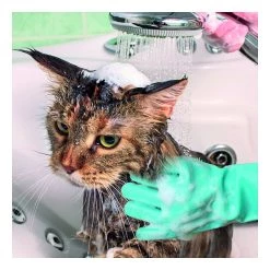 Les meilleures critiques de 🔔 Gant de toilettage pour animaux en silicone - Venteo - Vert - Adulte - Nettoie et brosse sans douleur - Lavable en machine 👏 -Promos Chat Boutique 3700421911493 4