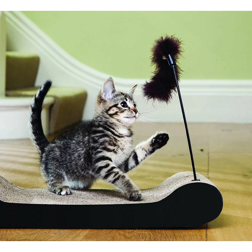 Tout neuf 🛒 PACK GRIFFOIR - VENTEO - Noir - Adulte - Griffoir et grattoir - Parfait pour les griffes, plus d'ennuie pour vos chats 💯 2 Tout neuf 🛒 PACK GRIFFOIR - VENTEO - Noir - Adulte - Griffoir et grattoir - Parfait pour les griffes, plus d'ennuie pour vos chats 💯 – Image 2