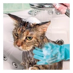 Acheter 🛒 2 Paires de gants de toilettage en silicone Pet glove - Venteo - Vert - Adulte - Lavable en machine, brosse/nettoie vos animaux 🥰 -Promos Chat Boutique 3700421914852 3