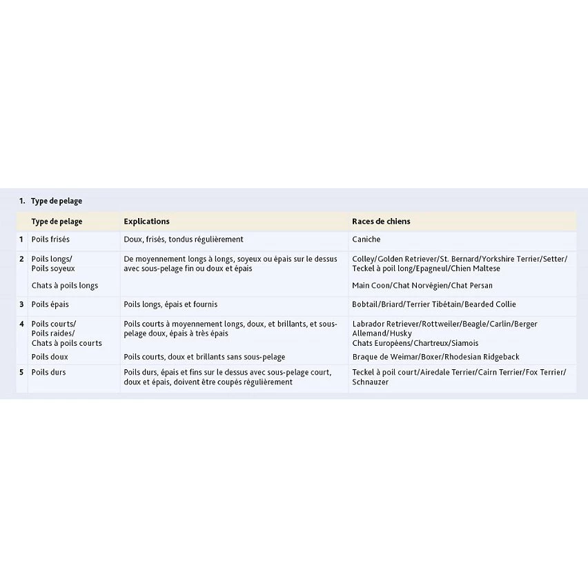 Le moins cher 🧨 Trixie Peigne anti-puces et poussière, 6 cm, en métal, pour chat et chien 💯 3 Le moins cher 🧨 Trixie Peigne anti-puces et poussière, 6 cm, en métal, pour chat et chien 💯 – Image 3