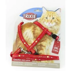 Coupon ✨ Trixie Harnais XL avec laisse pour grand chats dimension 34-57 cm/13 mm couleur aléatoire. 🥰 -Promos Chat Boutique 4011905418933 4
