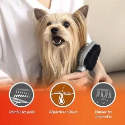Les meilleures critiques de ⭐ Furminator Brosse Double face chien et chat 👏 -Promos Chat Boutique 4048422141310 3